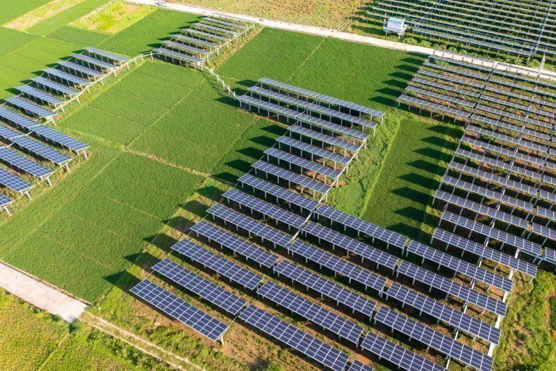 Home 21 campo solar
